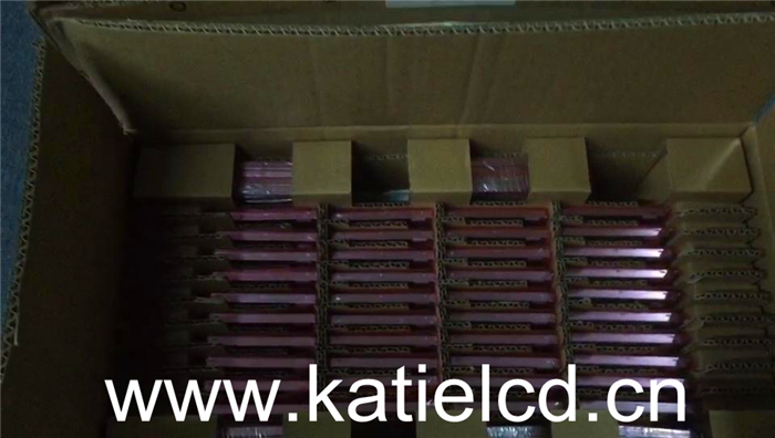 PVI元太6.5寸PW065XSA地鐵閘機 車載顯示工控屏